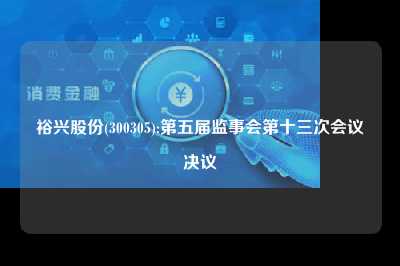 裕兴股份(300305):第五届监事会第十三次会议决议